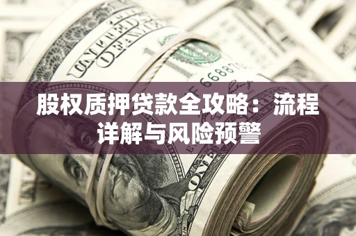 北京股权质押贷款全攻略：流程详解与风险预警