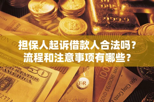 北京担保人起诉借款人合法吗？流程和注意事项有哪些？