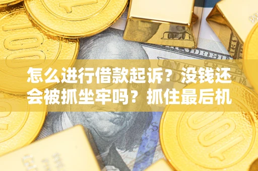 北京怎么进行借款起诉？没钱还会被抓坐牢吗？抓住最后机会！