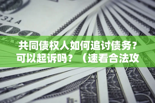 北京共同债权人如何追讨债务？可以起诉吗？（速看合法攻略）