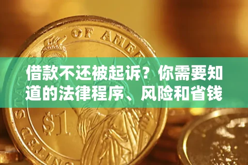 北京借款不还被起诉？你需要知道的法律程序、风险和省钱技巧