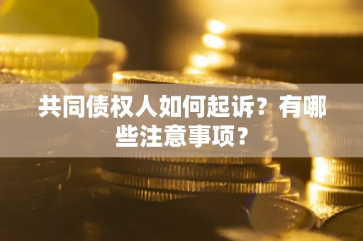 北京共同债权人如何起诉？有哪些注意事项？